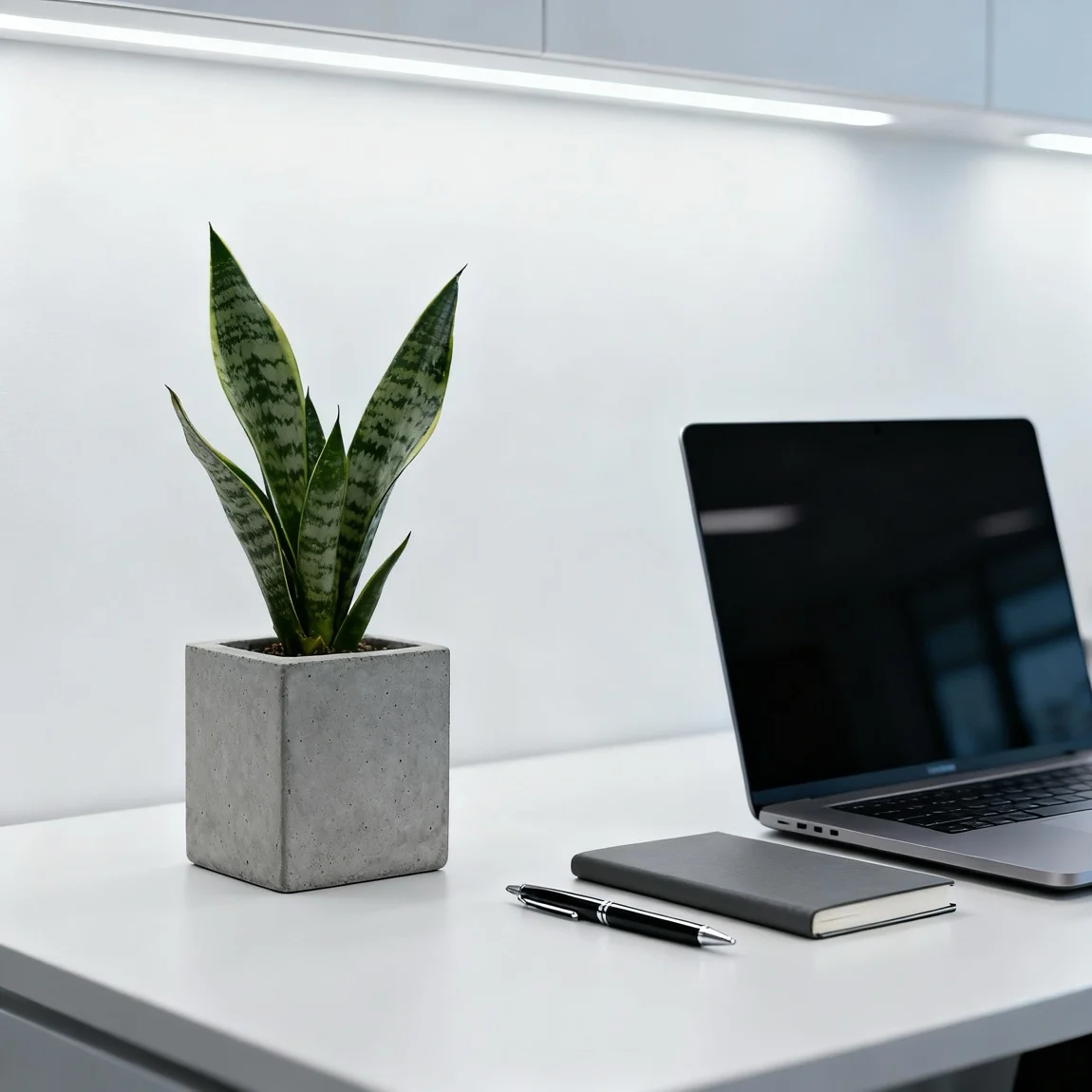 The planter is featured as a decor item on a clean, organized, and modern office desk. - product photography ai