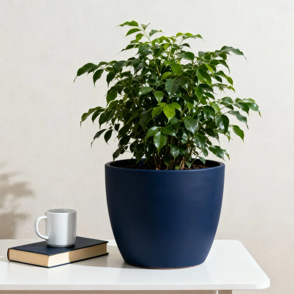 An informational photo shows the planter next to common objects to clearly communicate its size. - ai product mockup