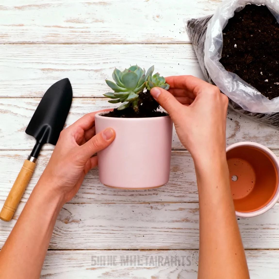 A top-down action shot shows hands potting a plant into the product, surrounded by gardening tools. - product photo ai